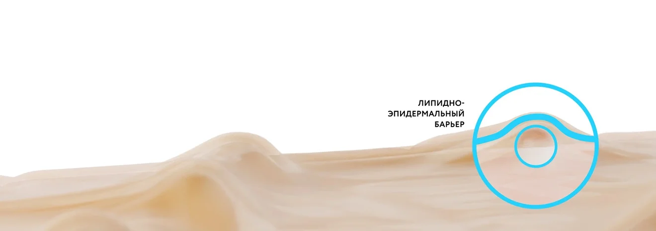 Механизм увлажнения нашей кожи 2